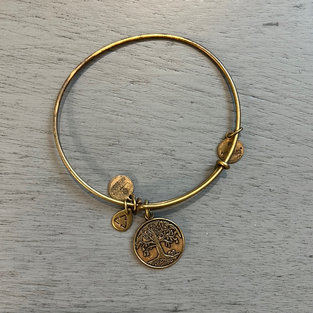 Alex and Ani Bracelet